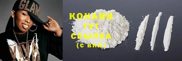 гидра Арсеньев